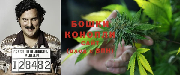 крисы Иннополис