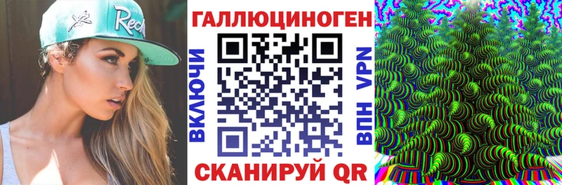 Галлюциногенные грибы Psilocybine cubensis  Купить  Бежецк 